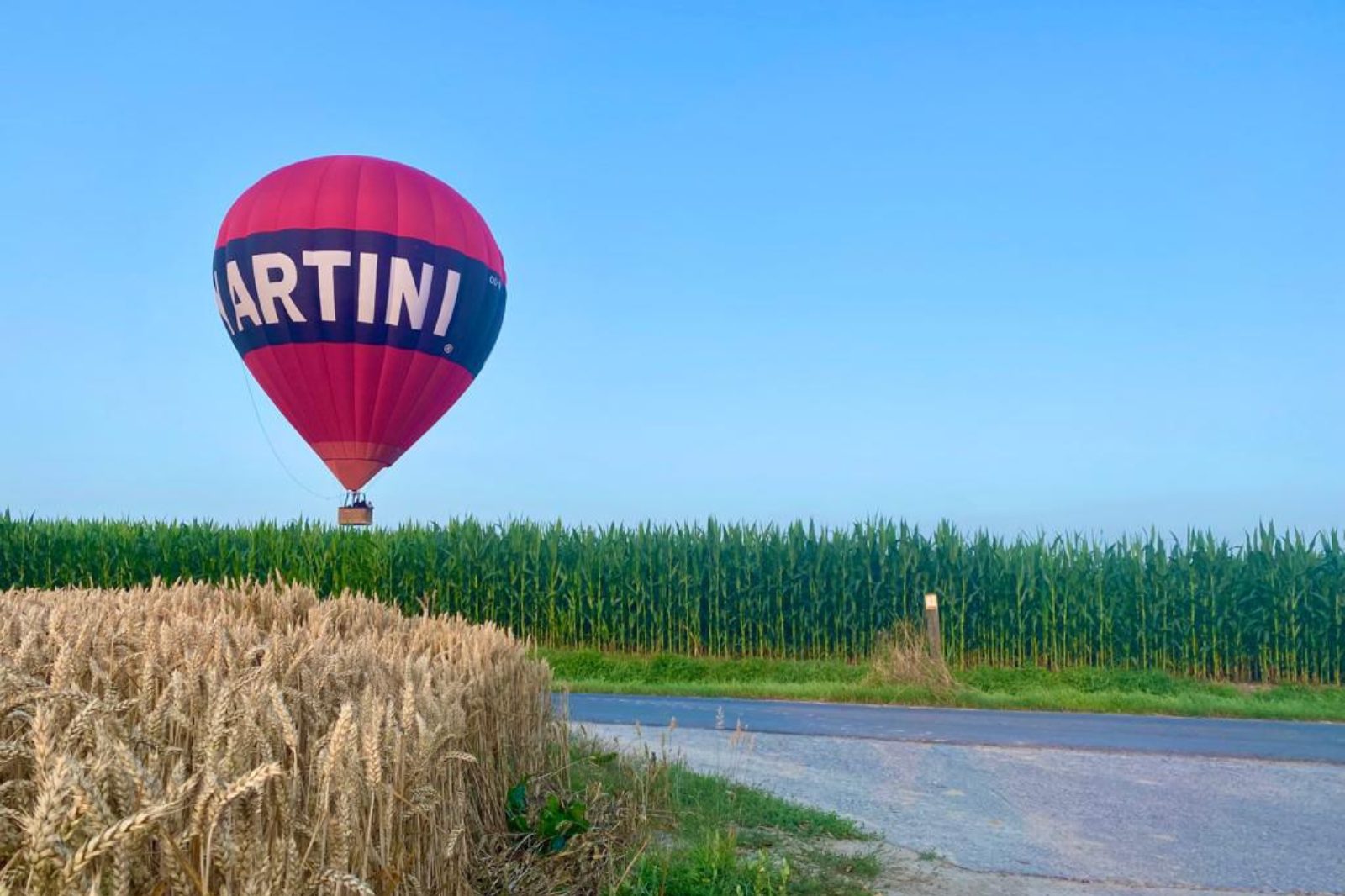 Rode luchtballon stijgt op naast een maïsveld in Lochristi
